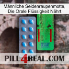 Männliche Seidenraupenmotte, Die Orale Flüssigkeit Nährt new03